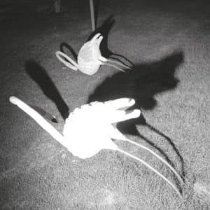 A Mimesis of Nothingness