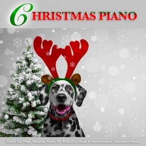 Christmas Piano Music For Dogs, Sleeping Music For Pets, Dog Music & Instrumental Christmas Music