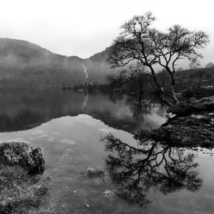 Kan Vi Lane Et Gorojern Av Deg?