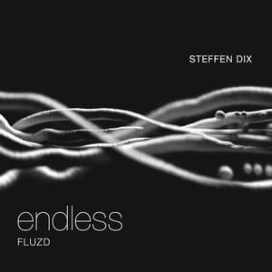 Endless - Fluzd