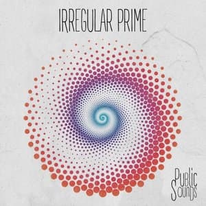 Irregular Prime