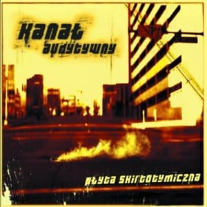 Plyta Skirtotymiczna