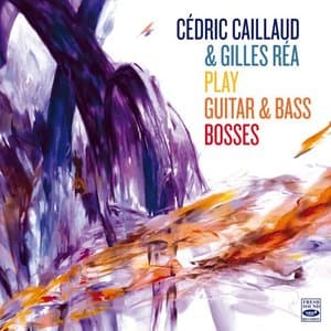 PLAY GUITAR & BASS BOSSES