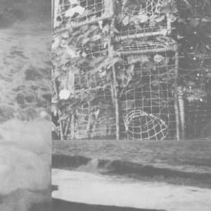 The Processes And Instruments Of Normal People