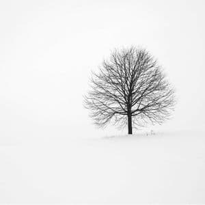 If I Could Turn Back Time