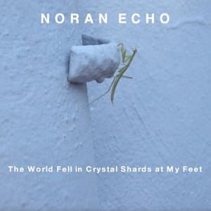 The World Fell In Crystal Shards At My Feet