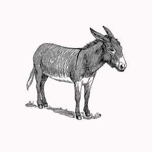 Voice Like a Sore Ass