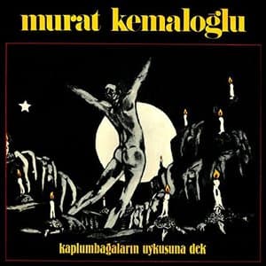 Kaplumbagalarin Uykusuna Dek