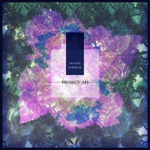 Crystal Paradise