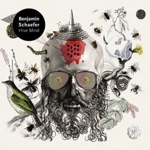 Benjamin Schaefer - Hive Mind