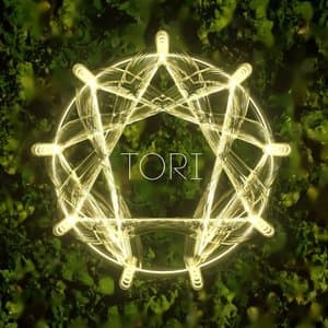 Tori