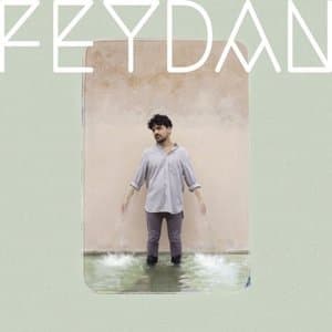 FEYDAN