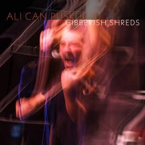 Ali Can Puskulcu: Gibberish Shreds