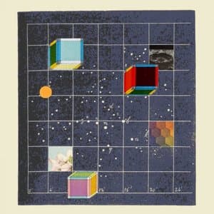 Driftwood (and Other Found Objects)