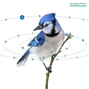 Convincing Delusional