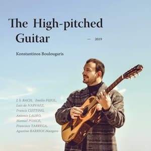 The High-Pitched Guitar