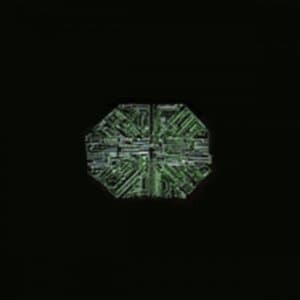 Sechs Fantasien fur zwei ungleiche Instrumente besonders fur Blockfloten