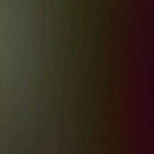 Polarized Extinction