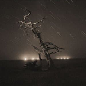 The Amor Fati of Crazy Cloud