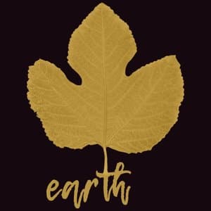 Earth