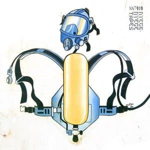 PheliMuncasi: 2013-2019