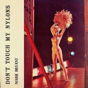 Dont Touch My Nylons!