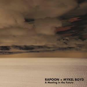 A Meeting In The Future