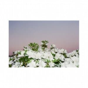 Ripples From the Edge