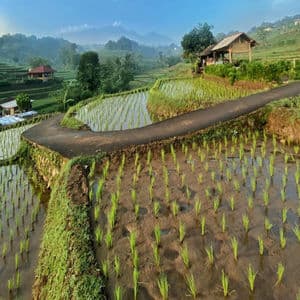 Besar nya rasa cinta dan impian