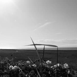 Lequilibre est necessaire