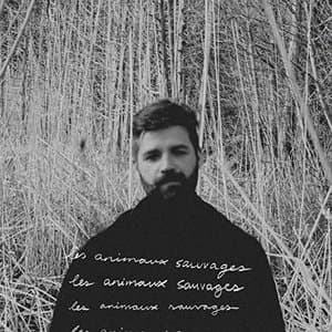 Les animaux sauvages