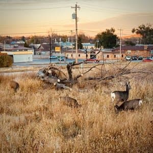 Reclamation Car Wash