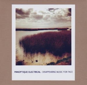 Disappearing Music For Face