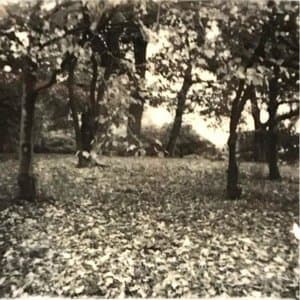 Sunken in the same place