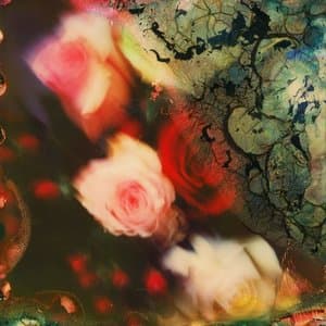 Photos from the Flood