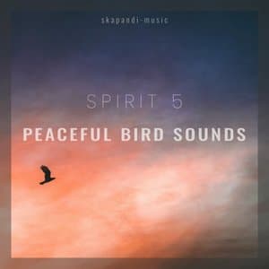 Peaceful Bird Sounds