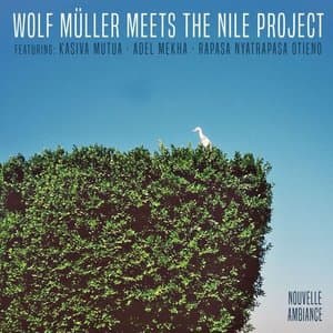 Wolf Muller meets the Nile Project
