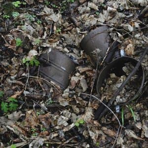 Wiegenlied fur den Nachtmahr