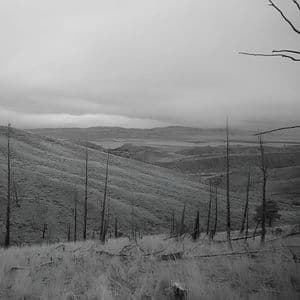 8 voices in my head and dirt