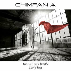 The Air That I Breathe