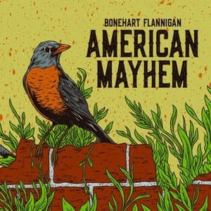 American Mayhem