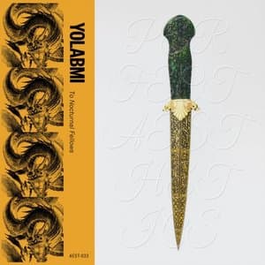 To Nocturnal Fellows