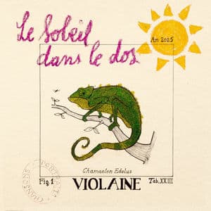 Le Soleil dans le dos