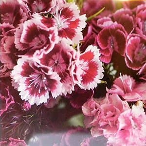 The Singles As And Bs