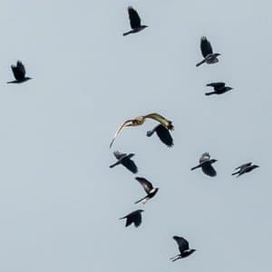 Confusion Is The First Step Towards