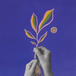 Turn O Spinning Wheel