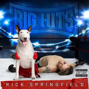 Big Hits: Rick Springfield's Greatest Hits, Vol. 2