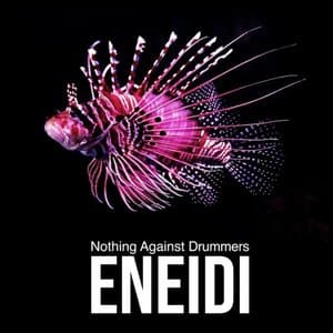 Nothing Against Drummers