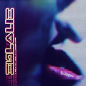 A Day in the Videodrome