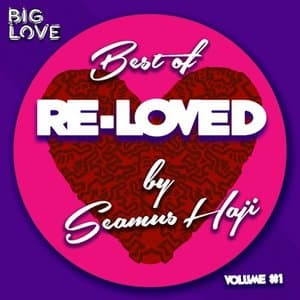 Best Of Re-Loved Vol 1